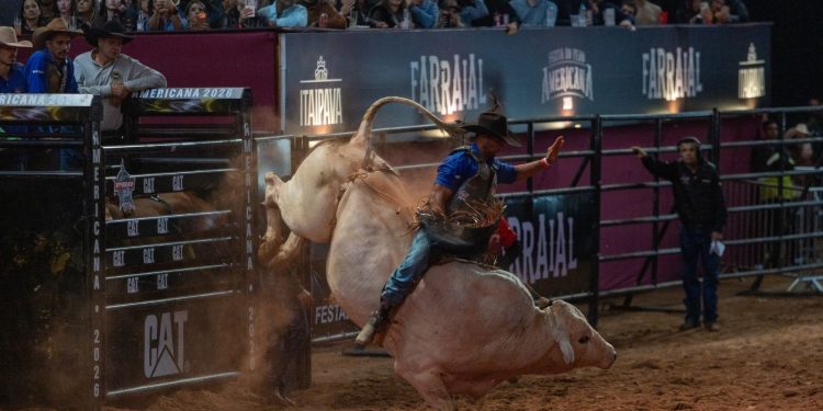 Mineiro tira 88,25 e domina 1ª noite da montaria em touros em Americana