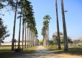 Semana começa com sol e calor no Vale e Litoral Norte; mudança no tempo chega a partir de quarta-feira